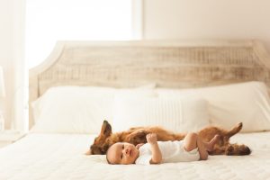 Newborn Photographers Dog Baby